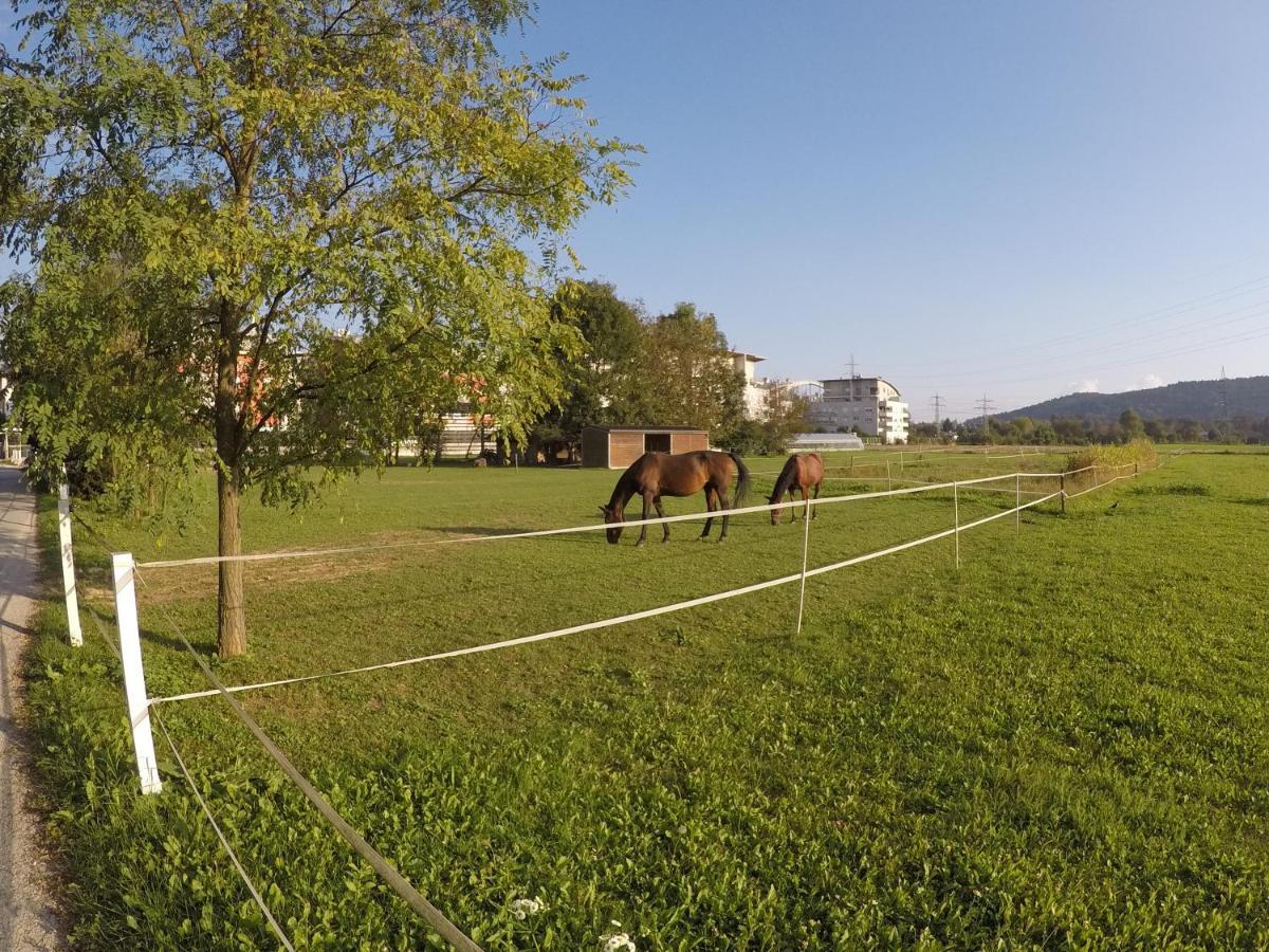 Villa Pearl Of Sava Wild Waters Laibach Exterior foto